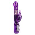 Rabb It Swing Vibrator Paars