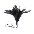 Fetish Store - Tickle Me Feather - Zwart