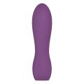 Ivy Intense - Power Vibrator Small - Paars
