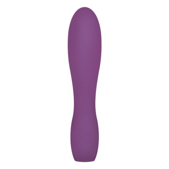 IVY Intense - Power Vibrator Large - Paars