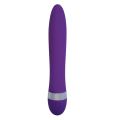 Lovetoy Vibe Vibrator Paars